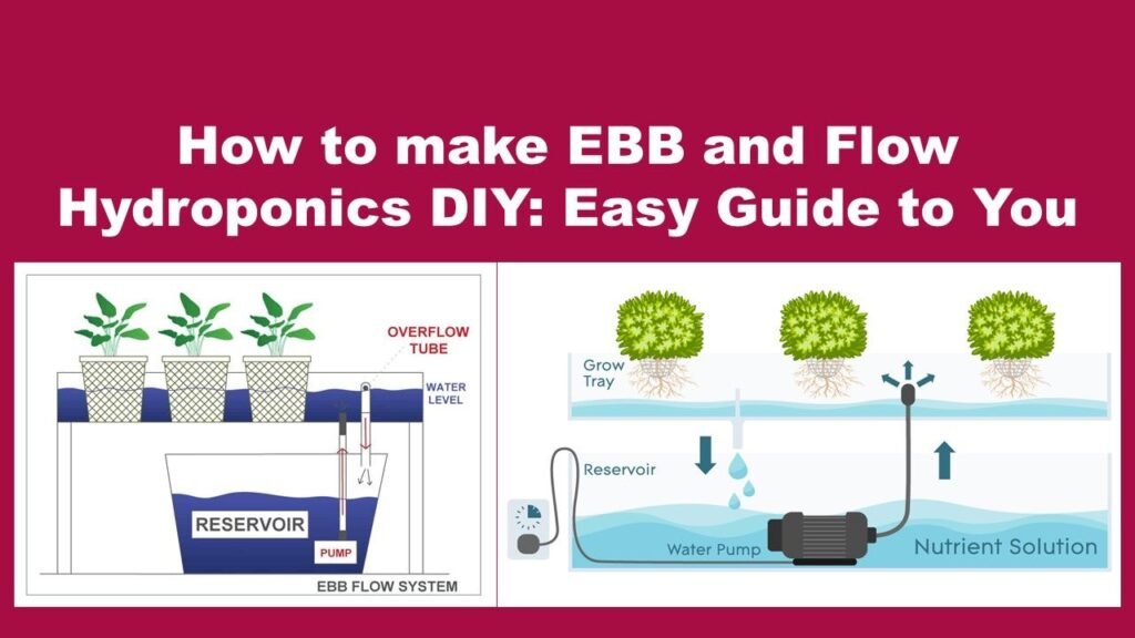 How to make EBB and Flow Hydroponics DIY: Easy Guide to You