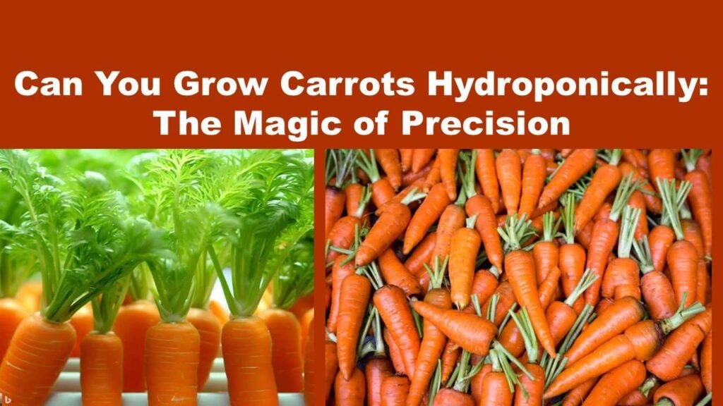 Can You Grow Carrots Hydroponically: The Magic of Precision