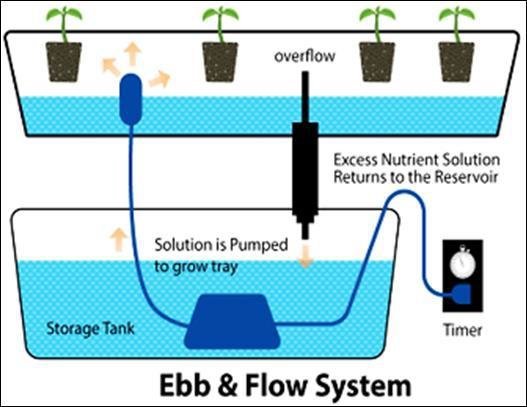 Ebb And Flow Hydroponics DIY | Ebb And Flow Hydroponics DIY