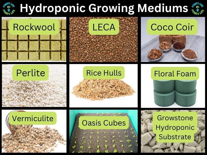 Different Growing Medium Used in Hydroponics | can you grow carrots hydroponically