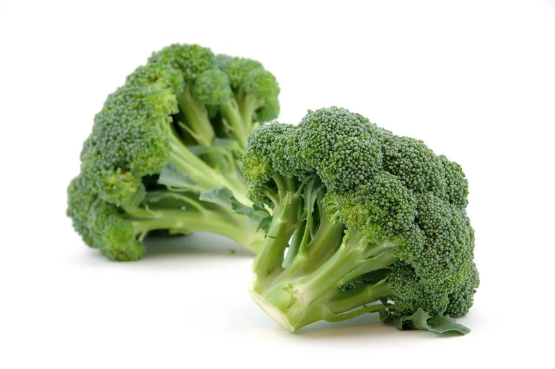 Harvested hydroponic broccoli | Hydroponic broccoli
