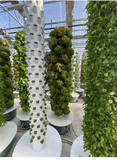 Aeroponic Tower |  Commercial Hydroponic Systems