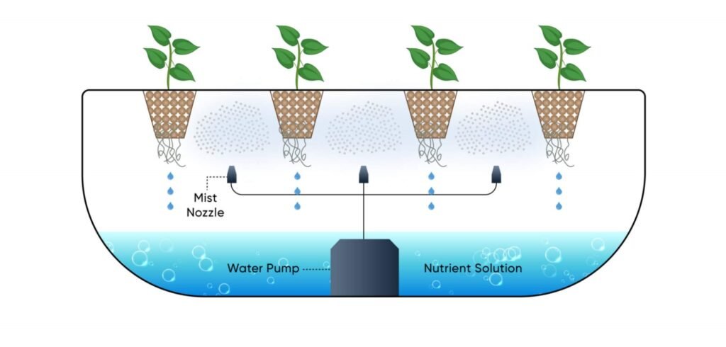 Aeroponic System |  Commercial Hydroponic Systems