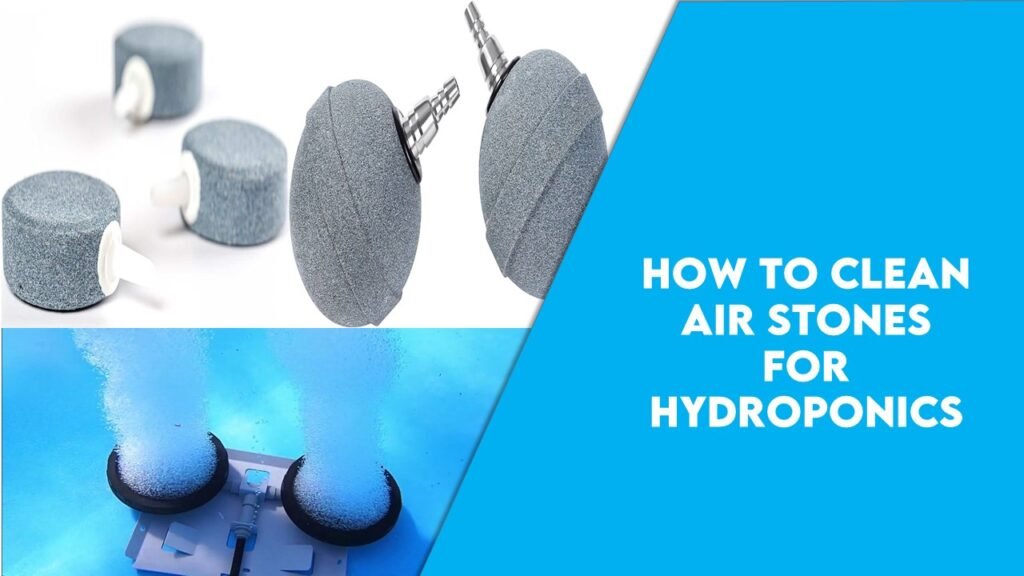 How to clean Air Stones for hydroponics: Step-by-Step Guide