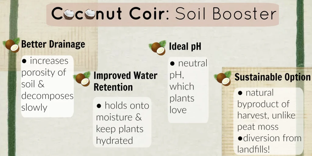 Benefits of Using coco coir hydroponic setup at home