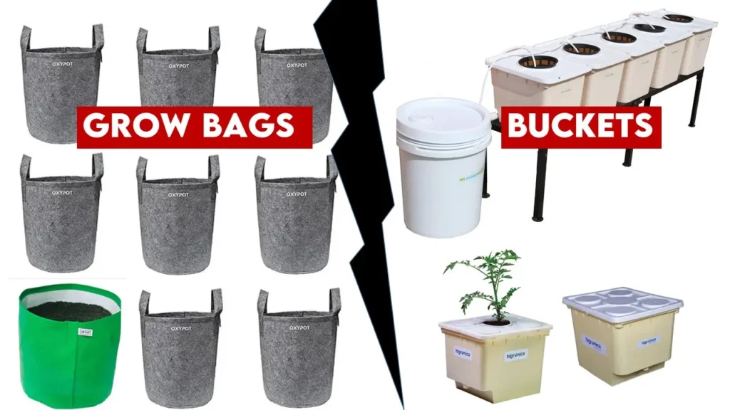  Grow Bags vs Buckets: Solution of Urban Agriculture