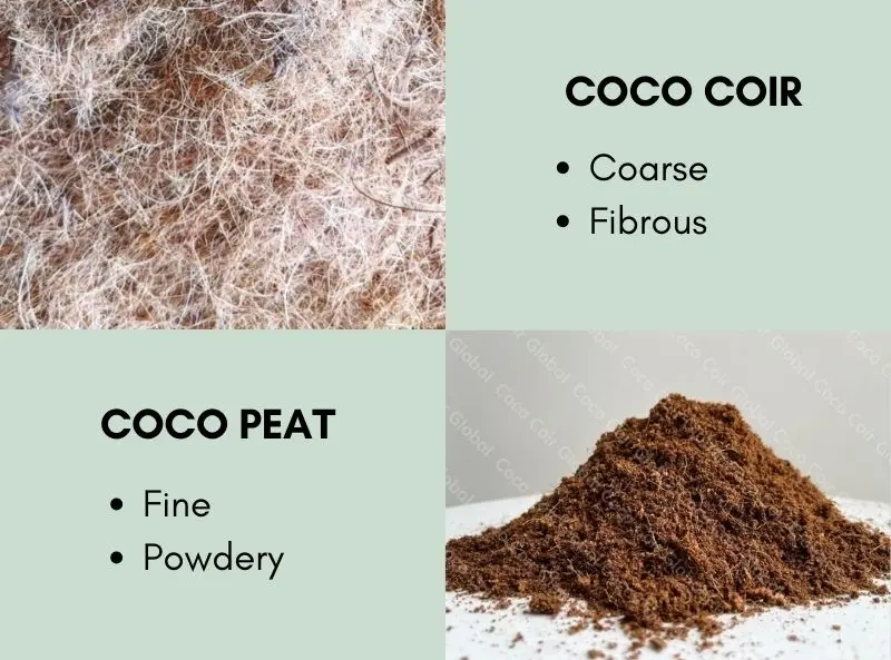 Coco coir to Coco peat| Coco Coir Hydroponic Setup at Home: Easy Guide