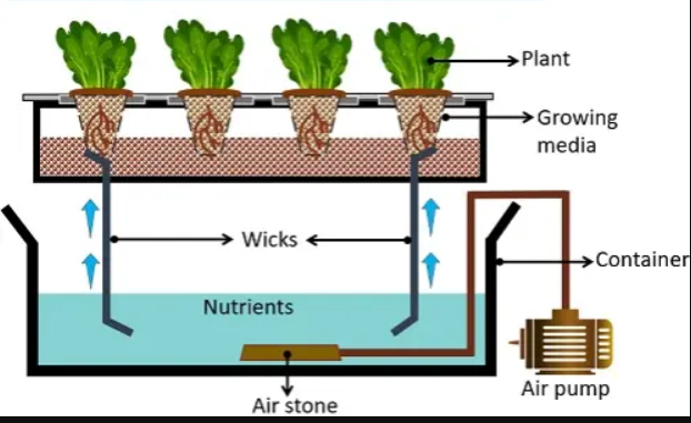 Wick Hydroponics System |  Hydroponics System