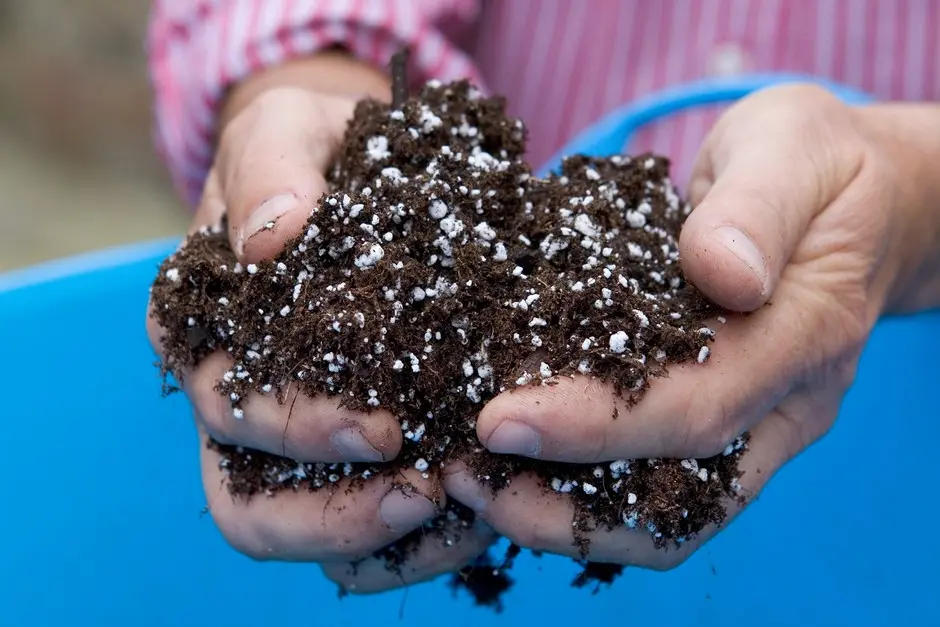 A Guide to Perlite | Vermiculite vs Perlite