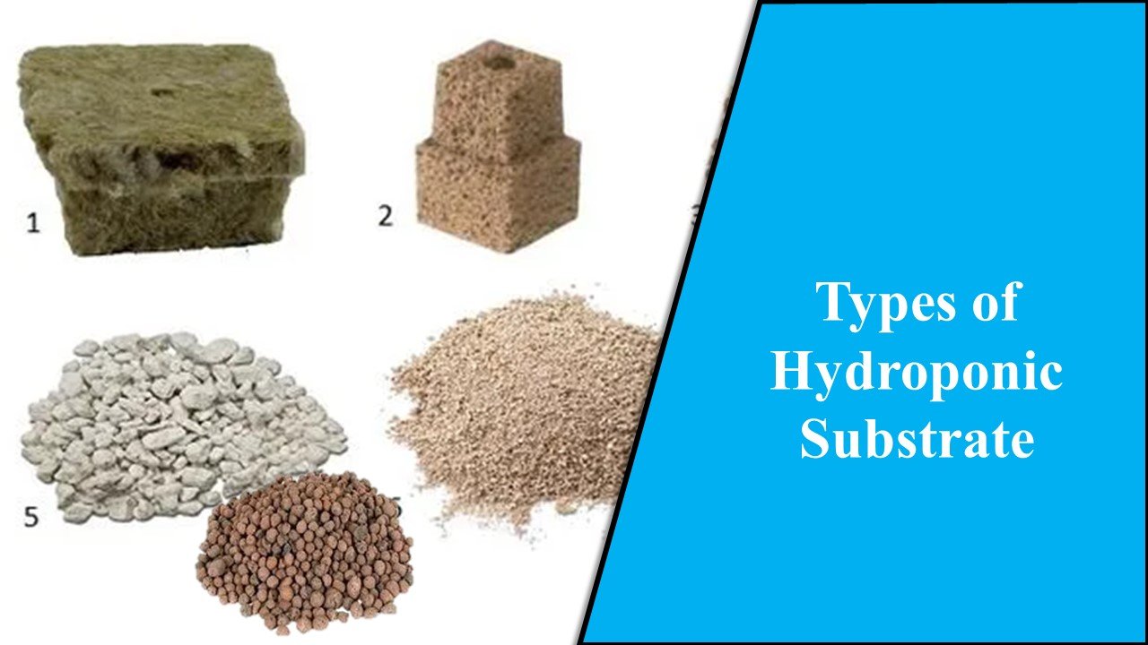 Types of Hydroponic Substrate