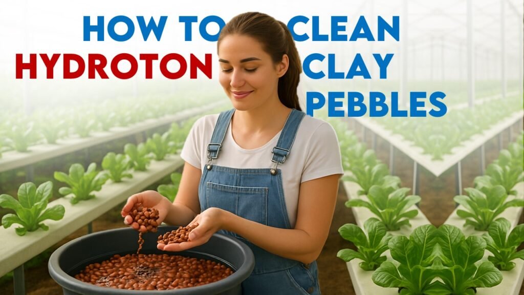 How to Clean Hydroton Clay Pebbles for Reuse
